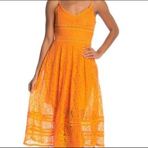 NSR Sleeveless Lace Midi Dress